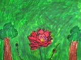 IMG_2844.JPG